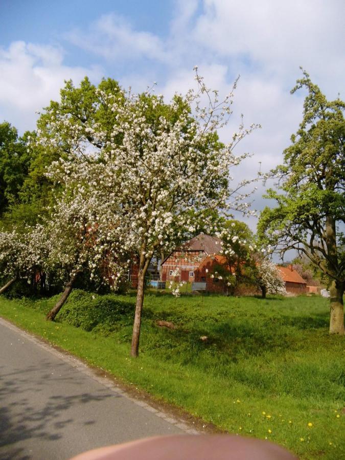 Am Storchennest Damnatz Exterior foto